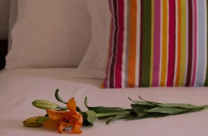 Bajo * Palazuelos de Eresma